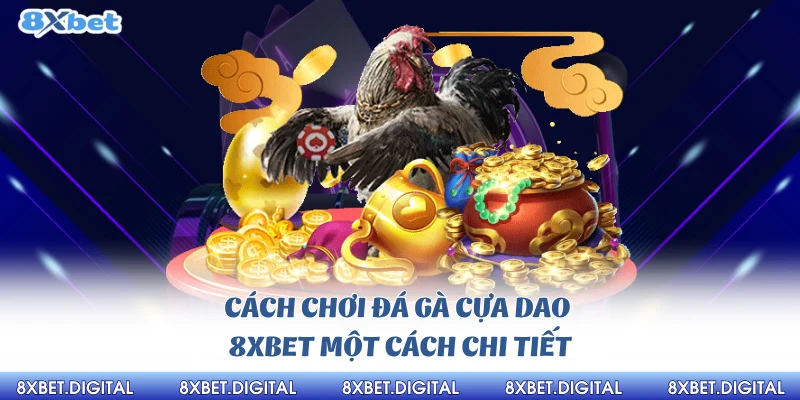 Cách chơi đá gà cựa dao 8Xbet một cách chi tiết