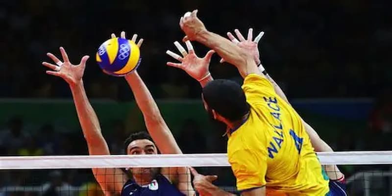 Thể thao 8Xbet được hiểu như thế nào