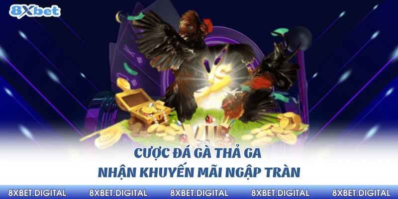Đá Gà 8xbet