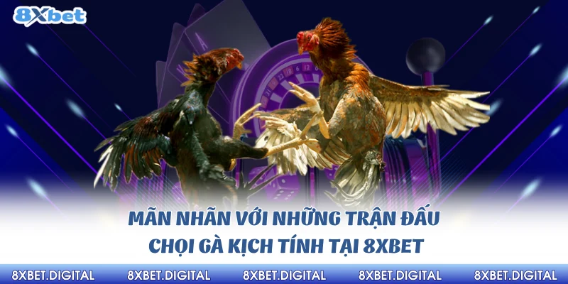 Đá Gà 8xbet